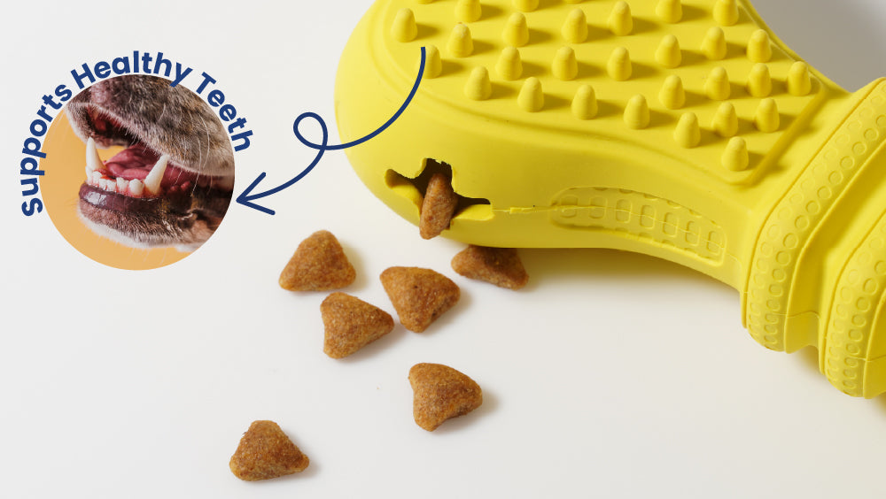 Yellow rubber dog toy with treats on a white background, highlighting dental health benefits.