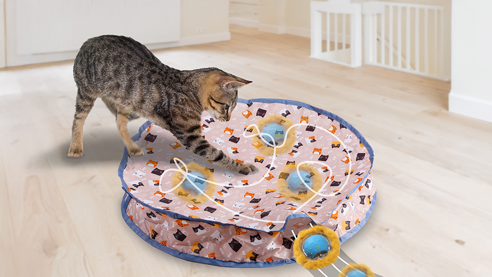 A playful tabby cat interacts with a colorful PawsPik cat toy set in a bright and spacious room.