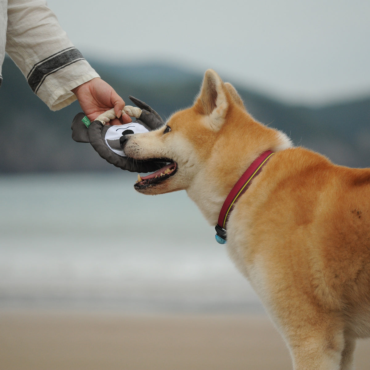 Gentle on your pet’s mouth, making it safe for chewing and tugging