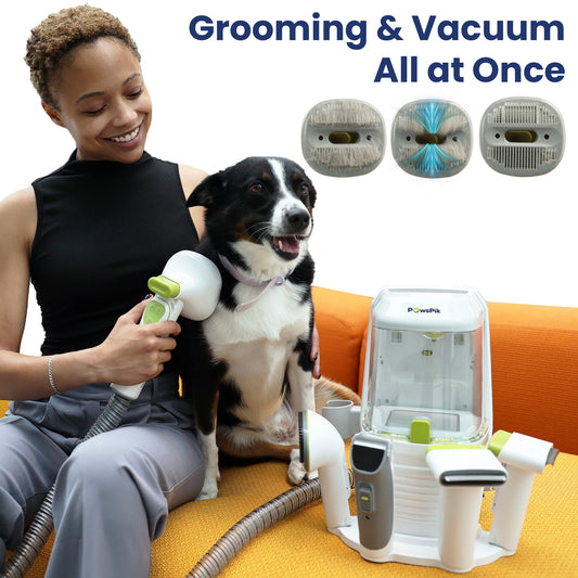 Person with PawsPik dog grooming kit next to a dog using pet vacuum cleaner with text "Grooming & Vacuum All at Once" above.