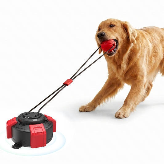 PawsPik Interactive Tug & Pull Dog Toy with Suction Base, Orange/Black