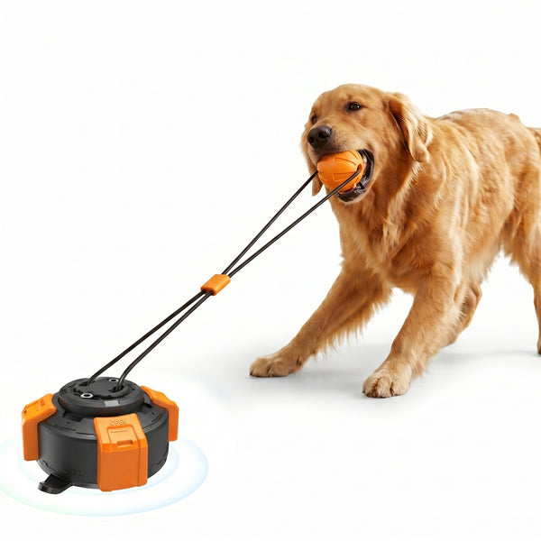 PawsPik Interactive Tug & Pull Dog Toy with Suction Base, Orange/Black