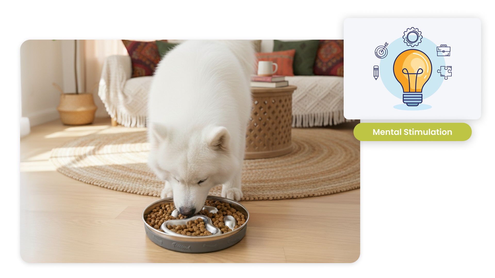 A fluffy white dog is eating from a dog slow feeder filled with kibble in a cozy living room setting.