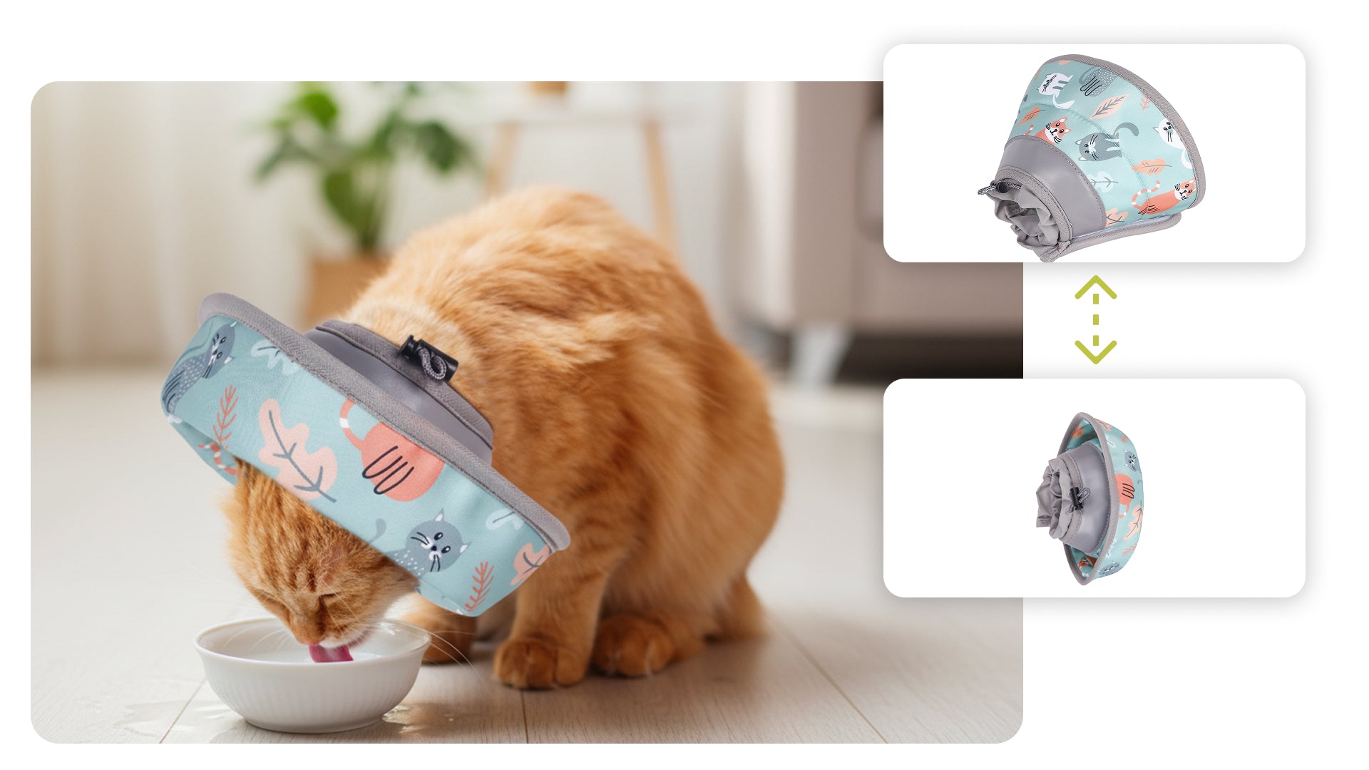 A playful orange cat wearing a patterned cat recovery collar drinks from a small bowl in a bright, cozy room.