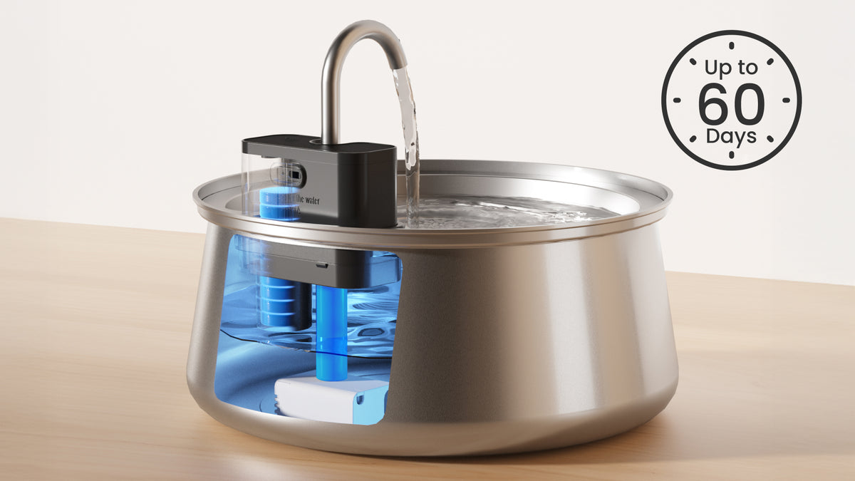 PawsPik Cat Fountain filtration system, showcasing a transparent top and blue components inside, with text indicating up to 60 days of use.