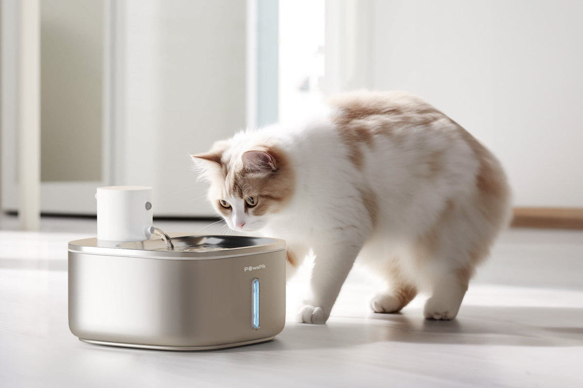 A ginger and white cat drinks from a modern pet drinking water fountain on the floor.