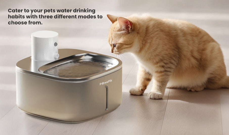 Pawspik automatic pet water fountain with selectable modes.