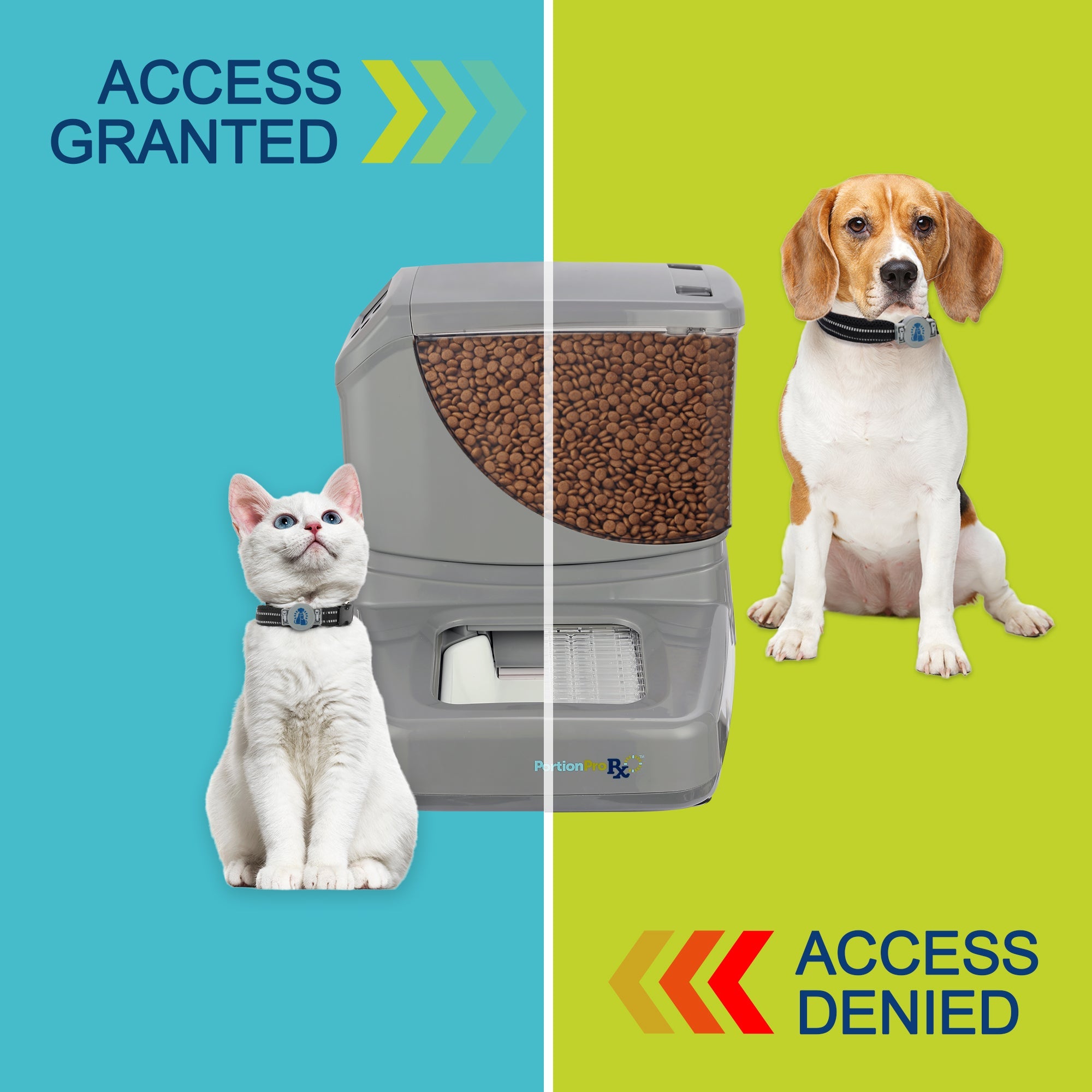RFID pet feeder that grants access to designated pet for tracking pets diet