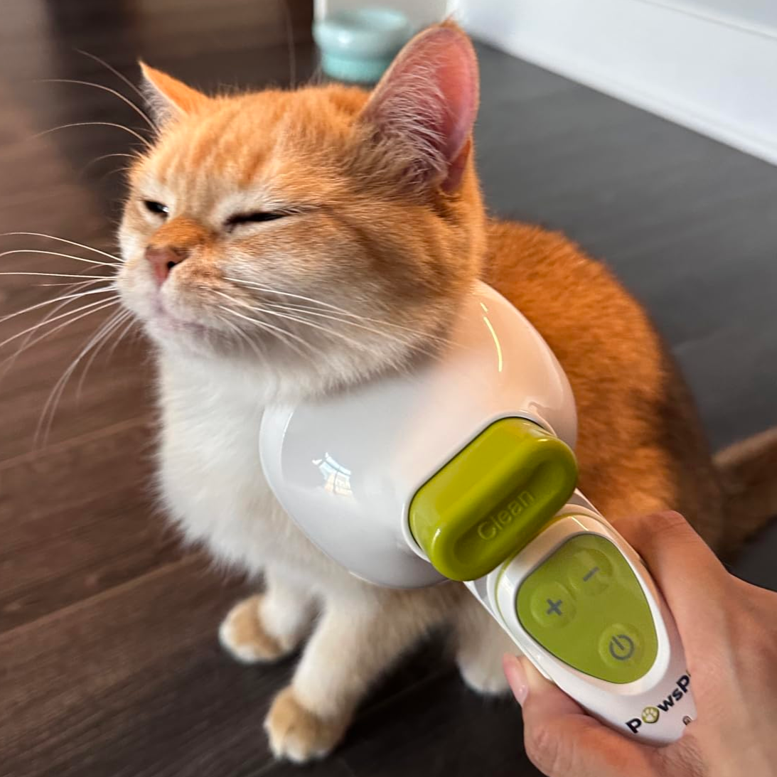 A person using a pet vacuum cleaner by PawsPik on a ginger cat with closed eyes.