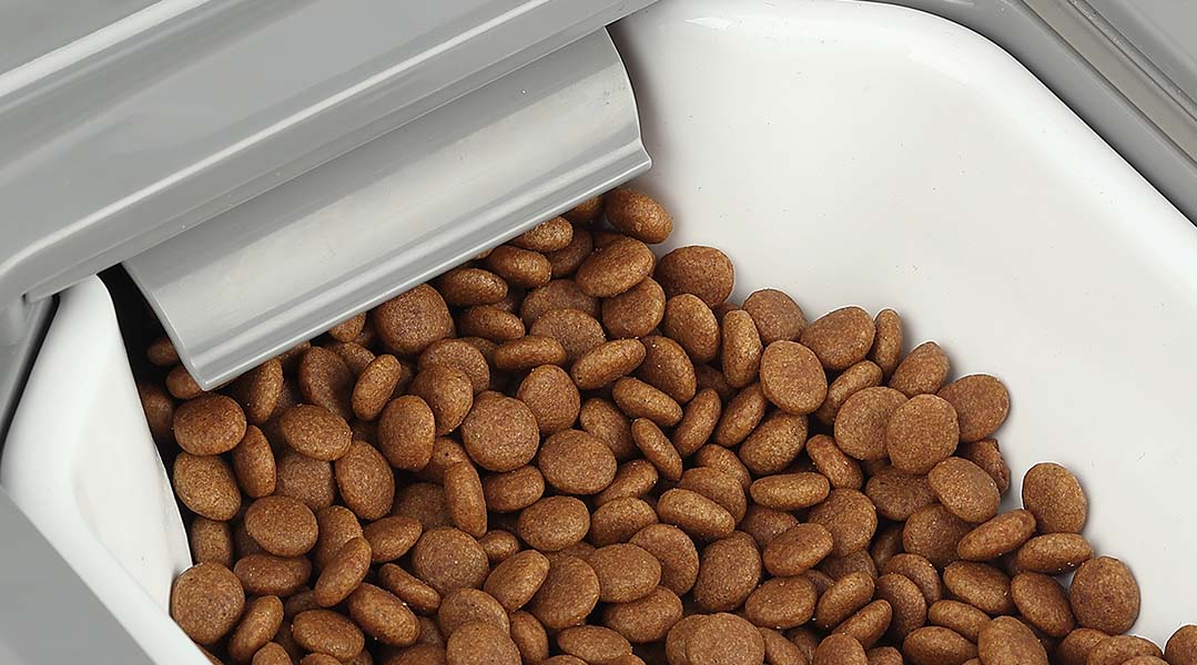 Dry dog food kibble in a white bowl with a gray lid partly open.