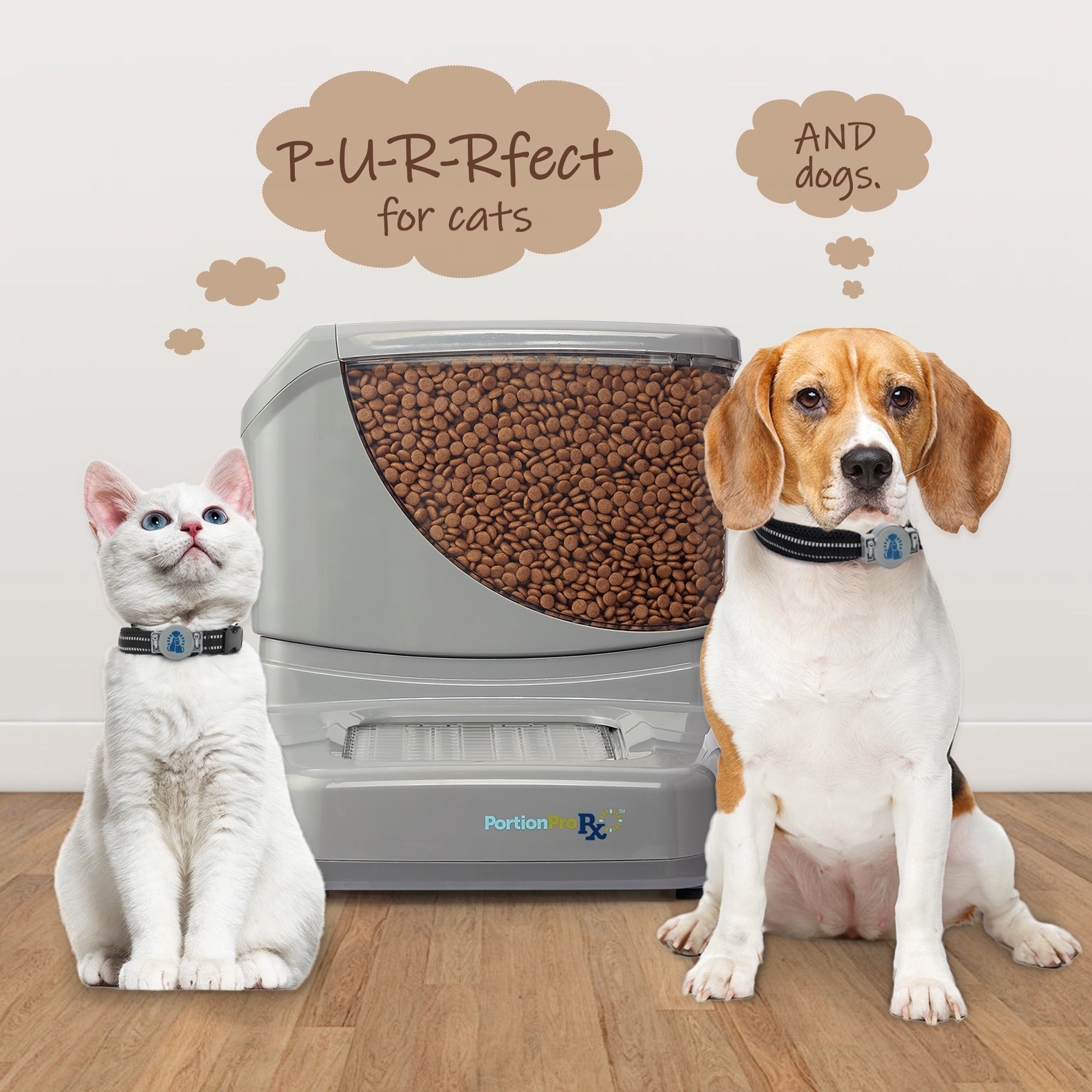 a cat and dog with the rfid tag and portionpro rx pet feeder for scheduled meal times