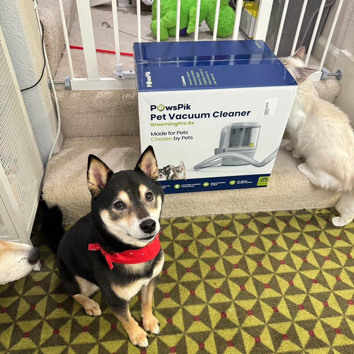 Two dogs and a cat near a PawsPik pet vacuum cleaner box by a baby gate.