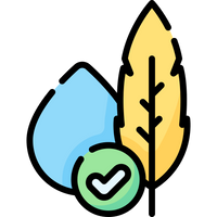 Clean Ingredients