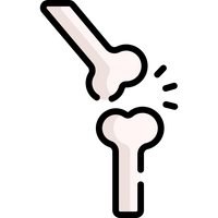 Joint Health Support