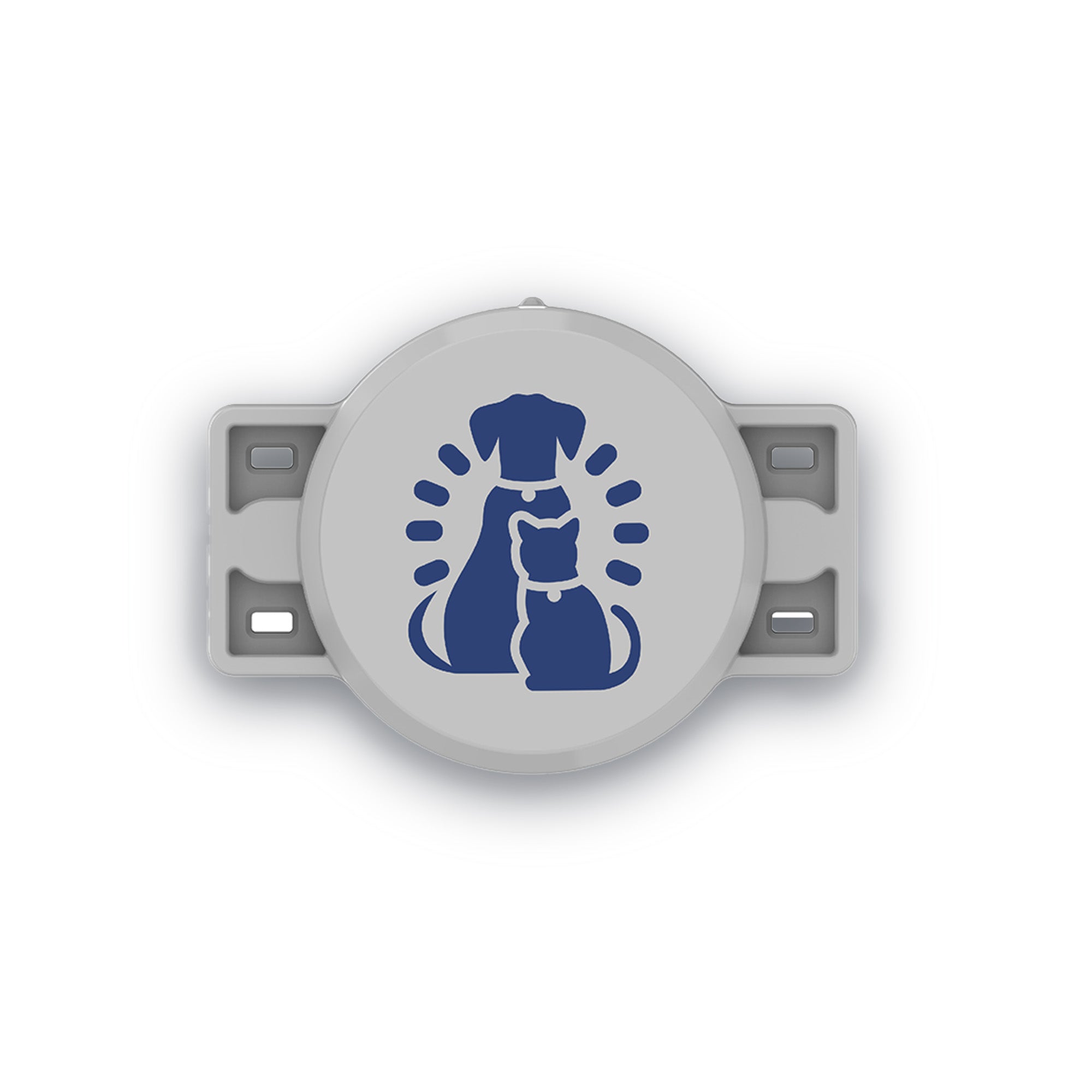 Image representing Portionpro RX replaceable battery tag. 