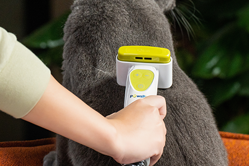 A handheld deshedding brush which comes with PawsPik Pet Vacuum grooming kit is being used on a grey cat.