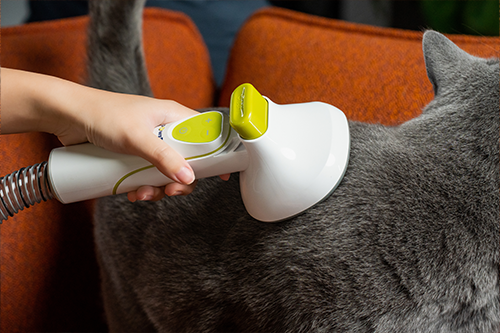 A hand applying a pet grooming brush on the back of a grey cat sitting on an orange couch.