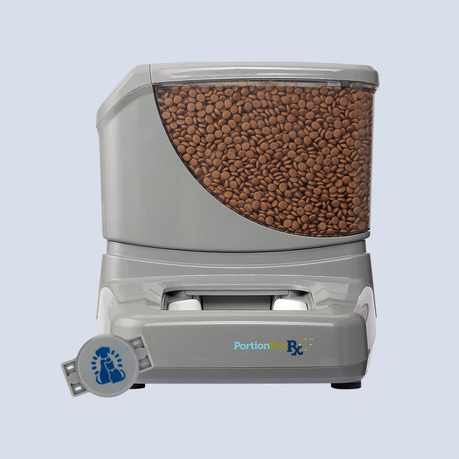 setup and maintenance section for the portionpro rx pet feeder