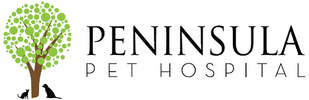 logo-banner-1