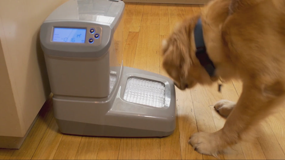 PortionPro Automatic Pet Feeder, Access Control Cat or Dog Food Dispenser with Rfid tag technology