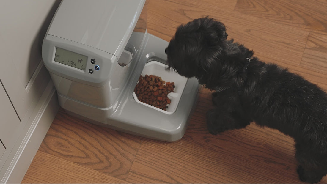 showcasing the pet grooming vacuum and automatic pet feeder