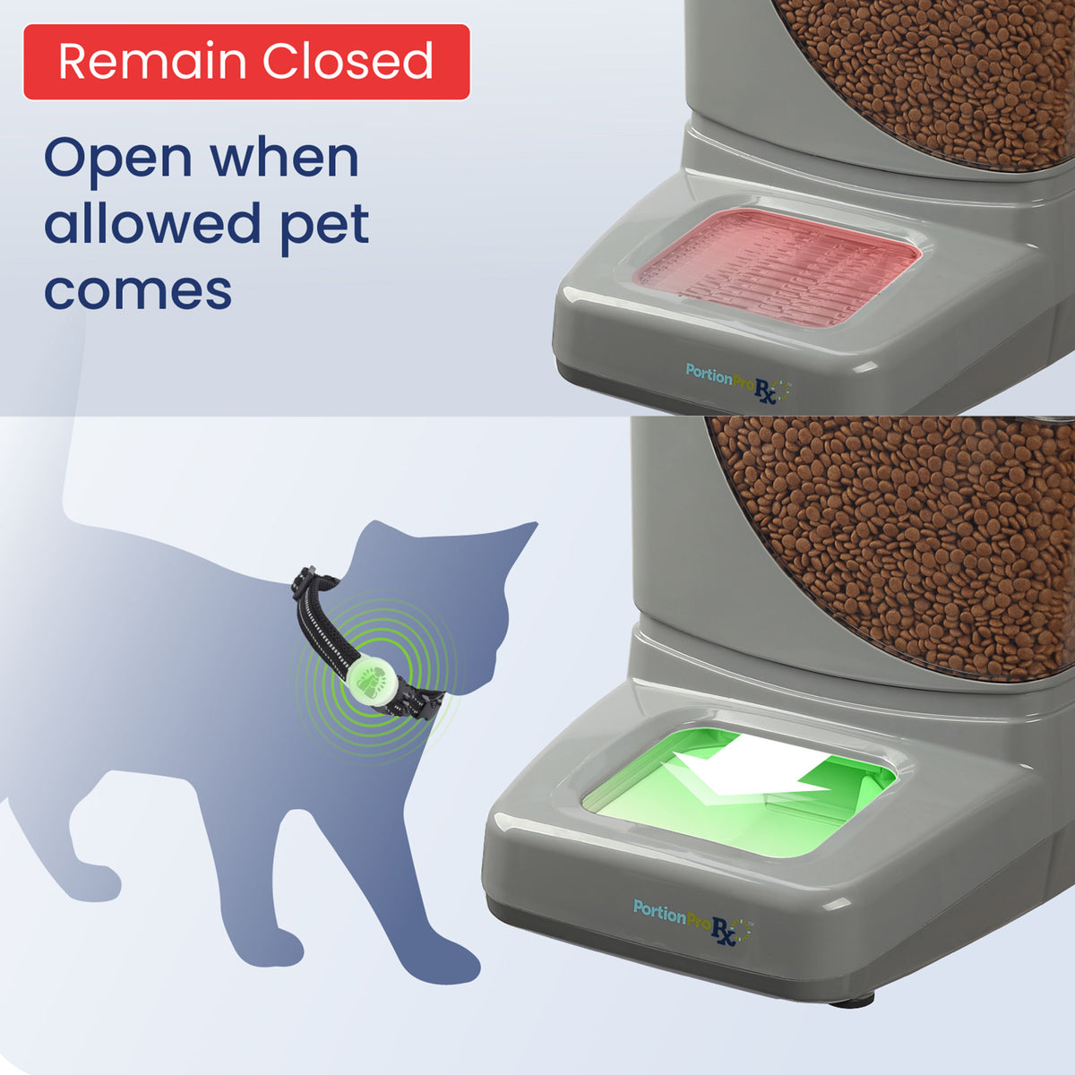 Pawspik automatic pet food dispenser that opens for a cat with an access tag, while remaining closed otherwise.