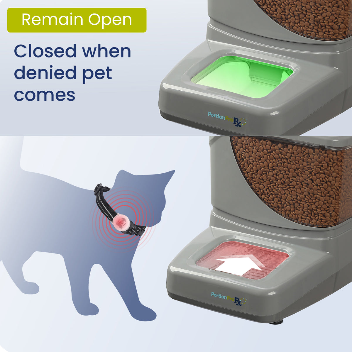 Pawspik automatic pet feeder that opens for a cat with an access tag, while remaining closed otherwise.