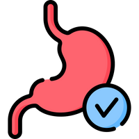 Supports Digestion