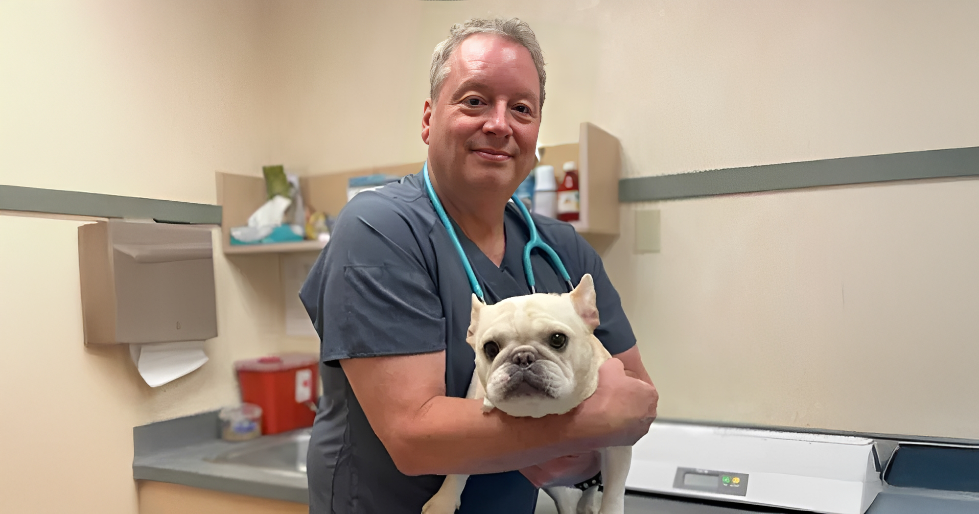 A veterinarian in scrubs holds a white French Bulldog in a clinic room. The setting is sterile and professional, with medical equipment in the background.