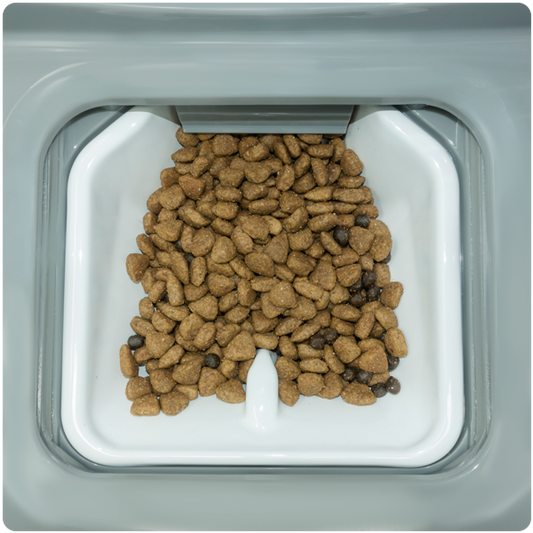 A close-up view of a pet food bowl filled with brown kibble, featuring a central pouring spout for easy access.